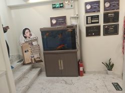 -海涛医疗美容·面部抗衰·注射美鼻