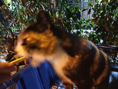 -同济大学(嘉定校区)