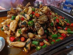 -蛙来哒(正荣财富店)