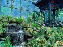 -东莞植物园
