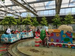 -南宫五洲植物乐园