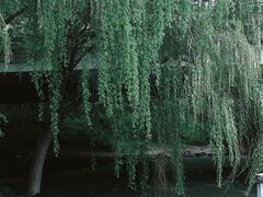 -蠡湖大桥公园