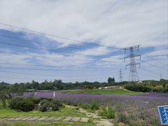 -紫颐香薰山谷景区