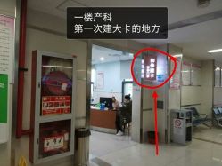 -上海市嘉定区妇幼保健院