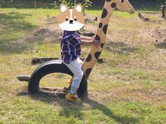 -前小桔亲子创意农场·草莓采摘·露营烧烤