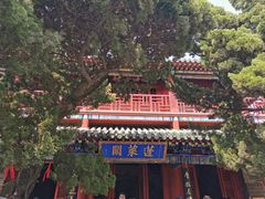 -蓬莱阁景区