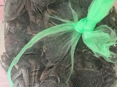 -新农都水产市场