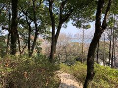 -苏州上方山国家森林公园