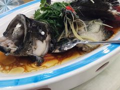 -联邦酒楼