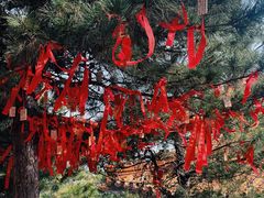 -天津盘山风景名胜区