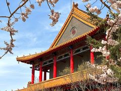 -哈尔滨极乐寺