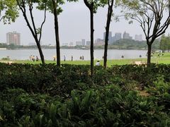 -顺峰山公园