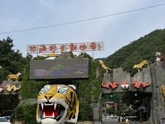 -栾川竹海野生动物园