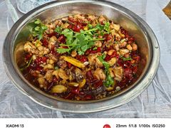 -食神又名厕所兔