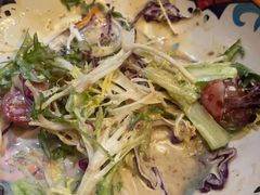 -Uncle Kosto科斯托·中东菜