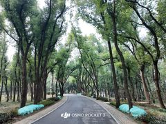 -东湖落雁景区