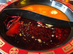 -海底诱惑(中骏世界城店)
