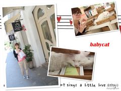 -Babycat私家御饼屋(龙头路一店)