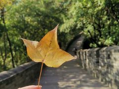 -台州府城(江南长城)