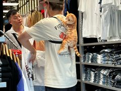 -优衣库(银座店)