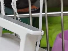 -艾贝尔宠物医院 ·内科全科(梁溪路店)