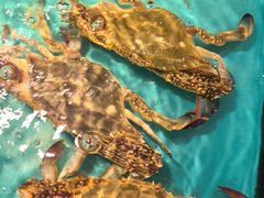 -拉完海鲜大排档(温岭店)