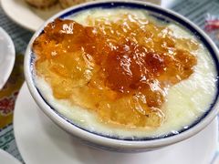 桃胶双皮奶-仁信老铺(华盖路店)