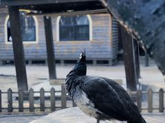 -郑州中国绿化博览园