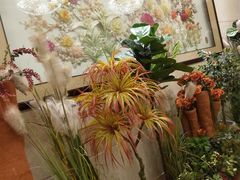 -汉宫汤泉汗蒸洗浴(五四广场店)