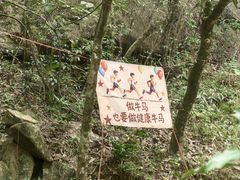 -广州白江湖森林公园