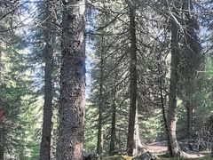 -天山天池风景区-西王母祖庙