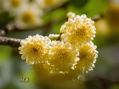 -昆山城市生态森林公园