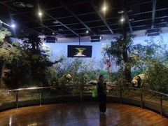 -陕西自然博物馆