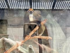-武汉动物园