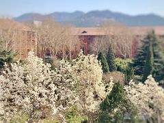 -山东大学(千佛山校区)