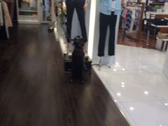 iphone_upload_pic-百盛(莘庄店)