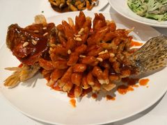 松鼠桂鱼-洋洋中餐馆·SINCE 1997(信投店)