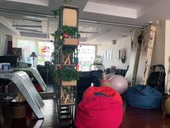 -皇冠瑜伽·普拉提·疼痛康复