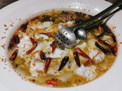 -九毛九西北菜(大东海店)