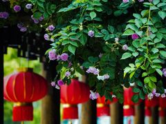 -锦溪古镇