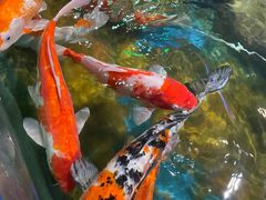 -太平洋海底世界