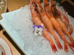 -德川家日本料理(中关村店)