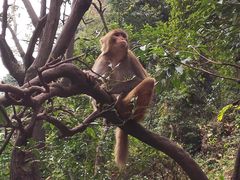 -黔灵山公园-南门售票处