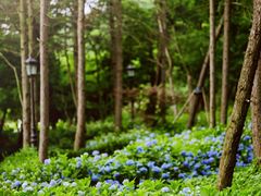 -青岛万象城