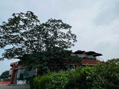 -水上明月·湖景餐厅