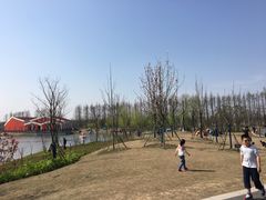 -上海长兴岛郊野公园