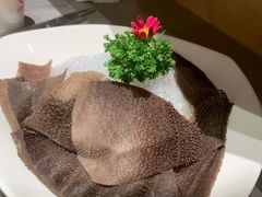 -海底捞火锅(奥森店)