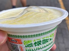 -德禄酸奶(莫家街店)