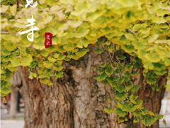 -北京石刻艺术博物馆