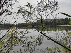 -翠湖国家城市湿地公园